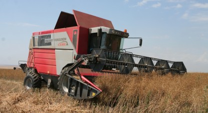 Producția de grâu din județul Constanța a scăzut cu peste 60%, în 2009 - bd0c413c4350a9a29fb9bec5de64e2a6.jpg