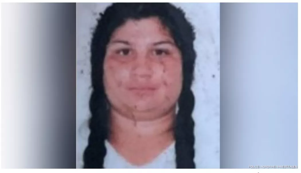 Bebeluș de 6 luni dispărut dintr-un spital din Germania, găsit în Ungaria alături de mama sa româncă