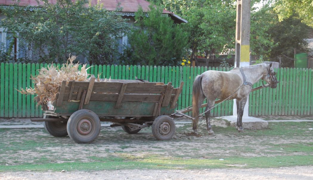 Bebeluș de numai o lună, găsit fără suflare în căruța părinților săi