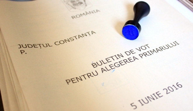 BEC nu a admis nicio cerere de anulare a alegerilor - becnuaadmis1-1465734905.jpg