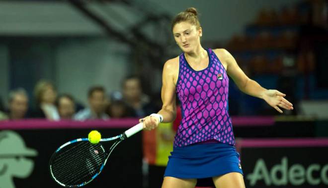 Begu și Niculescu, în sferturi la turneul de la Washington - begutenis-1438880749.jpg