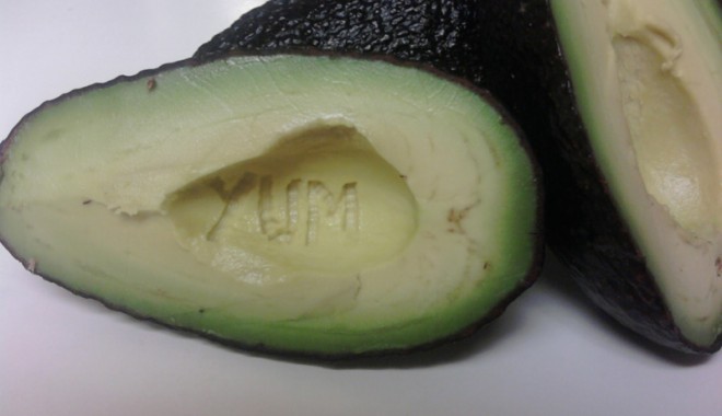 Beneficiile fructului de avocado pentru copii - beneficiilefructuluidevaocado-1348247410.jpg