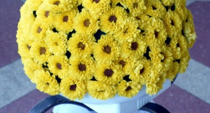 Din sfaturile bunicii - bfe85ad27c37e6bb601d57cccbaed4eb.jpg