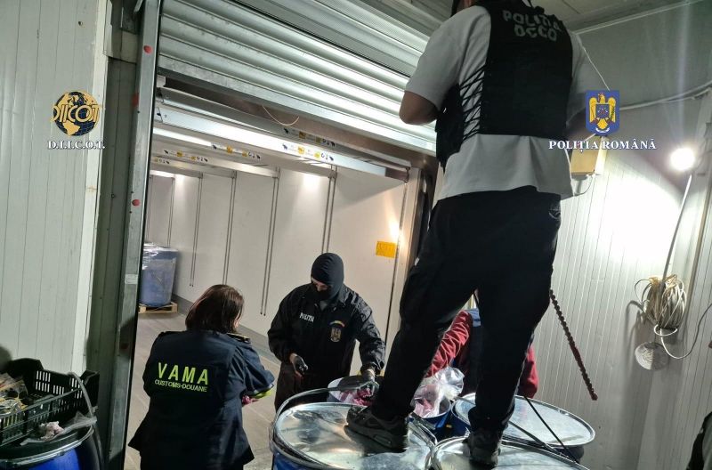 „Operațiunea Exotic” a ajuns pe mesele magistraților constănțeni. Doi bărbați, în boxa acuzaților - bigwhatsapp-image-20240924-at-17-1772442598.webp
