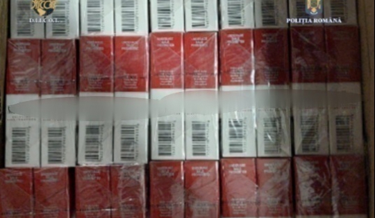 PERCHEZIȚII LA PERSOANE BĂNUITE DE CONTRABANDĂ CU PRODUSE ACCIZABILE - bigwhatsappimage20221001at113715-1664619433.jpeg