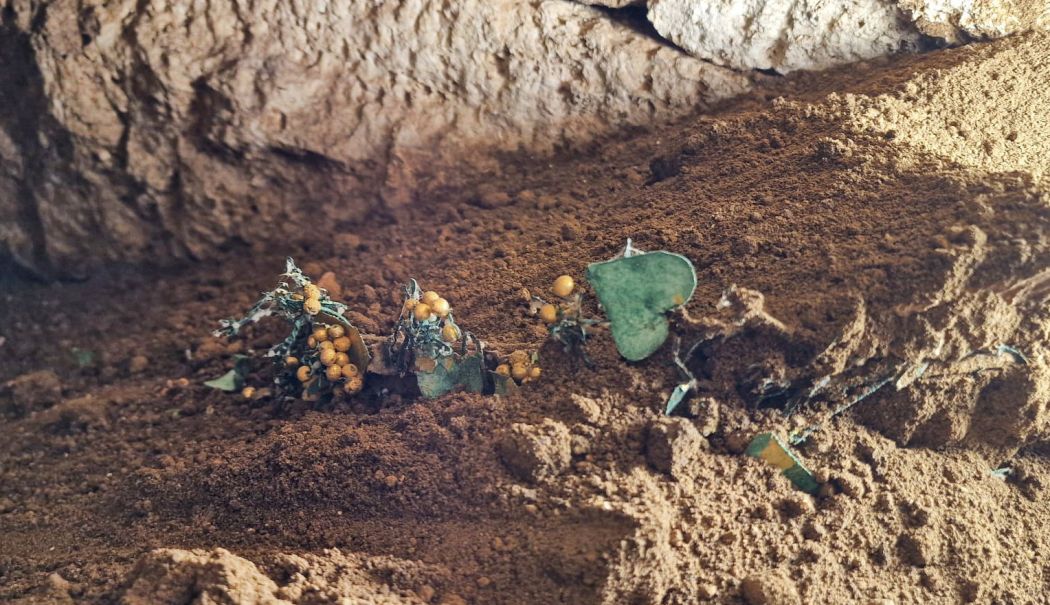 Descoperire importantă, în necropola oraşului antic Callatis. Arheologii au găsit podoabe de aur, sticlă și bronz
