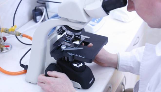 Elev român, medaliat cu aur la Olimpiada Internațională de Biologie - bio-1437409882.jpg
