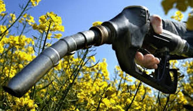 Biocarburanții din gunoaie și alge vor lua locul celor din plante - biocarburanti-1429890013.jpg