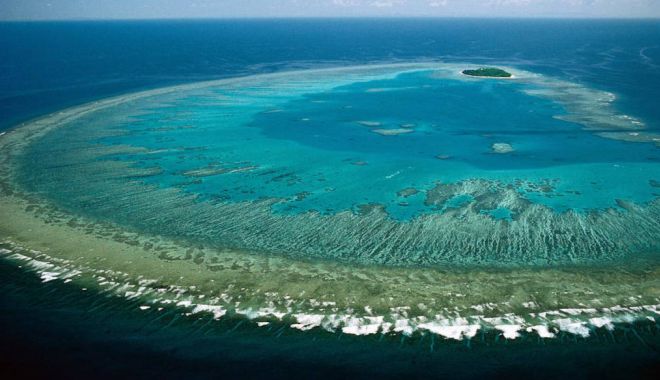 Decizie: Marea Barieră de Corali a Australiei nu va fi inclusă pe lista UNESCO