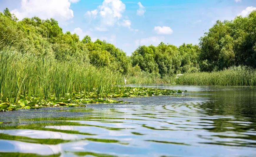Excepţii de la interzicerea folosirii năvoadelor şi a setcilor în Deltă, pe fondul nivelului scăzut al Dunării - blabla-1724743210.jpg
