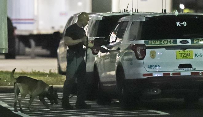 FBI a arestat un suspect în cazul pachetelor cu bombe trimise criticilor lui Trump - bomba-1540581340.jpg