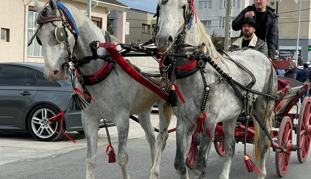 Primăria Mihail Kogălniceanu organizează „Botezul Cailor” - botezul-cailor-1735908098.jpg