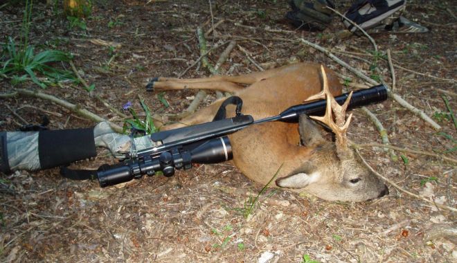 Tânăr de 17 ani, prins la braconaj; orbea animalele cu un far şi le vâna cu ajutorul unui ogar - braconajnoapte-1666001090.jpg