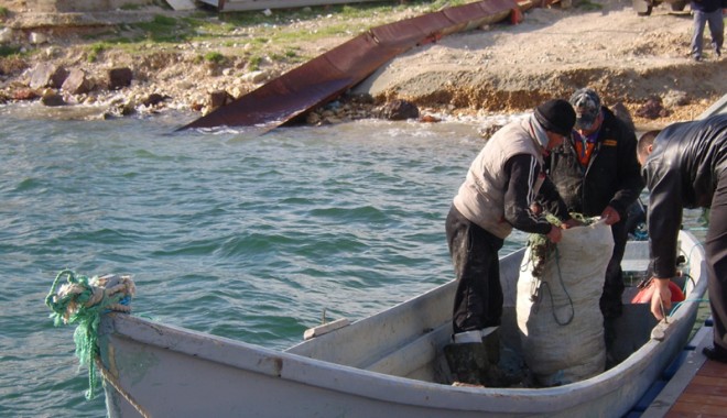 Prinși la pescuit ilegal calcan, în Marea Neagră - braconieri-1335112591.jpg