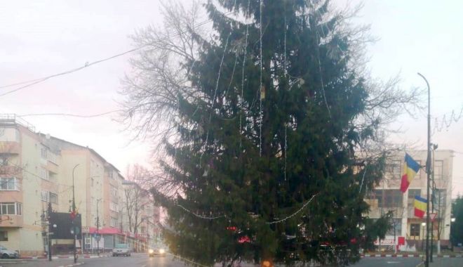 Brad montat în mijlocul șoselei, într-un oraș din județul Vrancea - brad-1638707733.jpg
