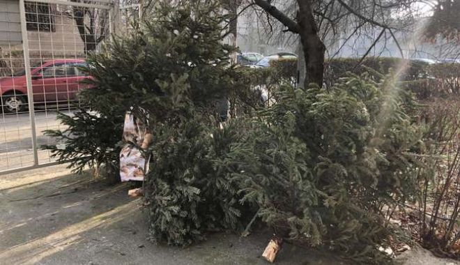 Brazii uscaţi sunt un reciclabil valoros; trebuie depozitaţi doar în vecinătatea platformelor de colectare