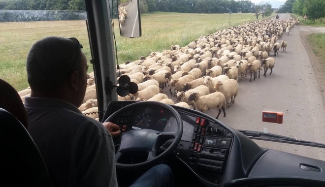 IMAGINEA ZILEI. TURIȘTI BLOCAȚI 