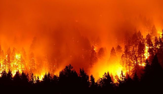 Brazilia respinge ajutorul propus de G7 pentru combaterea incendiilor din Amazonia - brazilia-1566936471.jpg