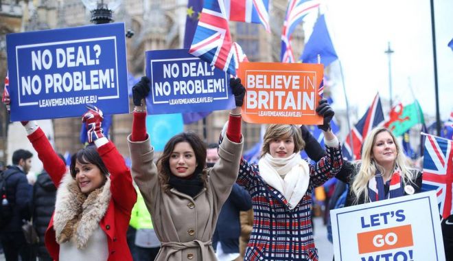 Brexit-ul este un risc real pentru sănătatea copiilor - brexitvoteprotesters23-1548150094.jpg