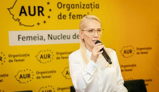 Ramona Bruynseels critică aderarea României la mini-Schengen - bruynseels-1704295361.jpeg