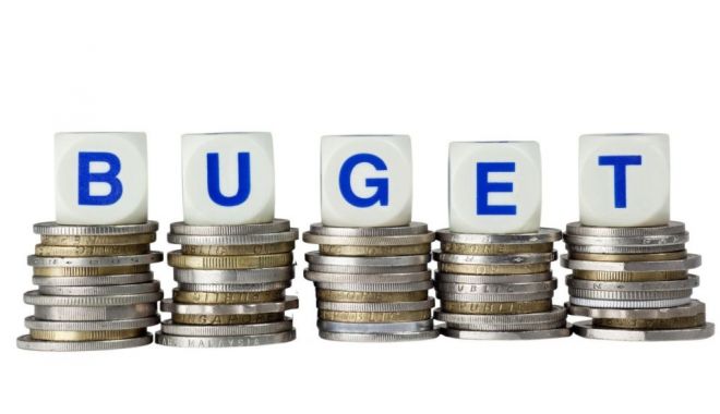Guvernul a APROBAT bugetul pe 2019 - buget2017bani-1549631662.jpg