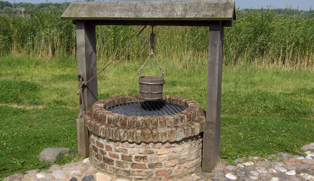 Bulă este urmărit - bula-este-urmarit-1740931263.jpg
