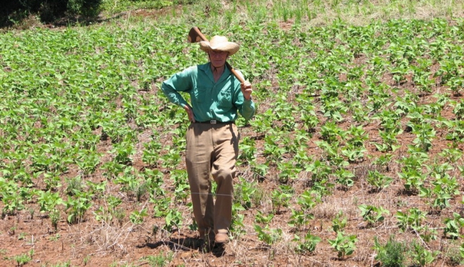 Bulă, mare agricultor - bulamareagricultor-1510584403.jpg