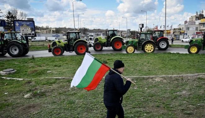 Fermierii bulgari au câștigat: Bulgaria suspendă importul de seminţe de floarea soarelui din Ucraina