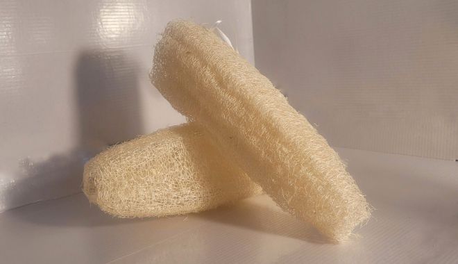 Bureții luffa, exfoliant natural pentru corp - buretii-1676217661.jpg