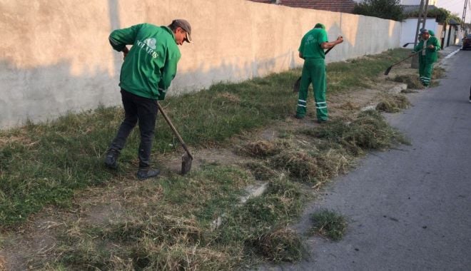 Buruienile de pe trotuare, adunate de echipele de la salubrizare - buruienile-1631613596.jpg