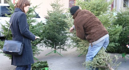 O, brad frumos, cu cetina de criză! - c168b60071aa088b9c54e0ae23df2e0c.jpg