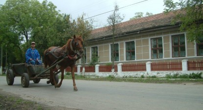 Pentru 2010, primarii constănțeni se limitează să majoreze taxele și impozitele locale cu 20% - c17f34697eff61933db1f1b27045649c.jpg