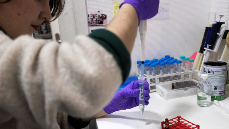 Medicii legiști sunt reticenți în privința proiectului Alinei Gorghiu despre depistarea drogurilor în sânge