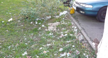 Mizeriile Constanței - c5a5d681008c1e5daa5b70fa82f28166.jpg