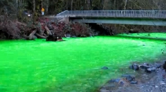 Video | Apa unui râu din Canada s-a făcut... fluorescentă - c6c3d47157736d7907641e47187f526e.jpg