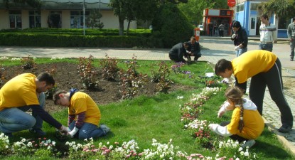 Voluntarii Mare Nostrum au plantat flori și au colectat ulei uzat din Medgidia - c96ab0cea4cc7eb84e1643e7d71265e8.jpg