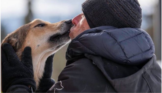 Un câine dispărut în timpul unei curse cu sănii din Alaska a fost găsit după trei luni
