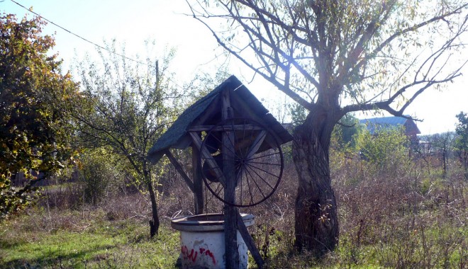 Misiune de salvare / Pompierii scot un câine căzut în fântână, la Dorobanțu - cainecazutinfantanta-1377603078.jpg