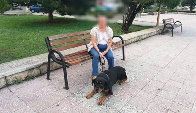 Amenzi pentru stăpânii câinilor plimbați fără botniță - cainefarabotnita-1532966910.jpg