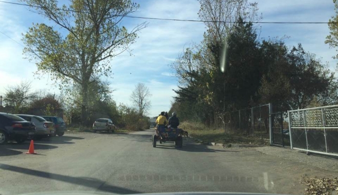 Constanța anului 2017. Câini, căruțe și indivizi dubioși pe maidane pline de gunoaie - caini-1510045538.jpg