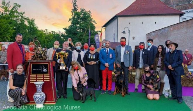 Sute de câini au defilat la Dracula Dog Show - caini-1631292274.jpg