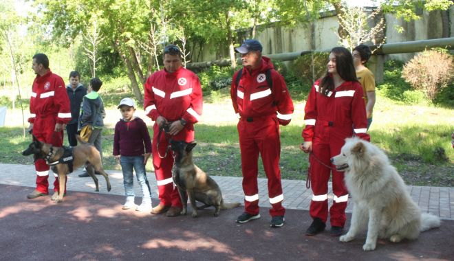 În România se desfășoară Campionatul Mondial al Câinilor de Salvare 2023