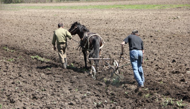 Buletin agrometeorologic / În sud-estul țării se vor semnala deficite moderate de apă în sol - cal-1366356104.jpg