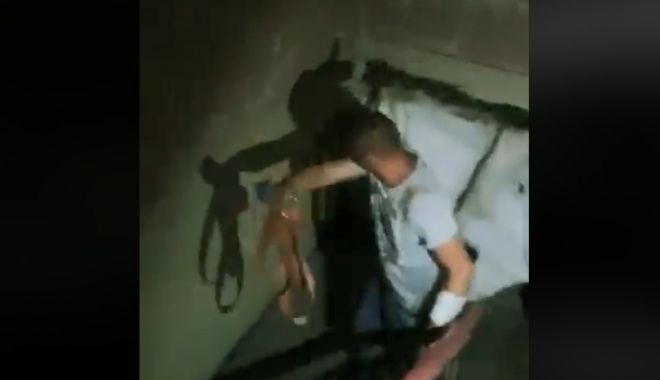 VIDEO / Poliția locală A GĂSIT UN CAL ÎN BUCĂTĂRIA unei garsoniere de la etajul 4 - cal-1561028718.jpg