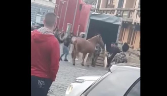 Incident revoltător: Cal bătut la parada junilor din Brașov - cal-1651586557.jpg