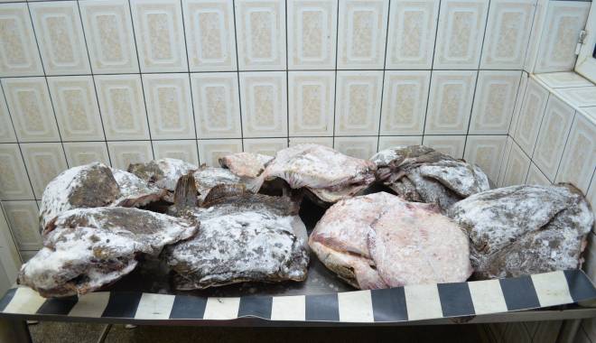 Captură impresionantă de pește! Zeci de kilograme de calcan, confiscate de polițiști - calcan-1435652215.jpg