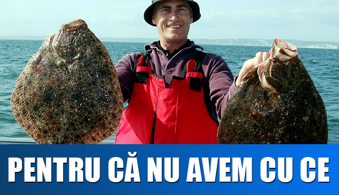 REVOLTĂTOR. BULGARII ne iau calcanul de sub nas - calcani-1354525613.jpg