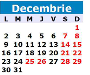 Calendarul fiscal al lunii decembrie - calendarfiscal-1387303213.jpg