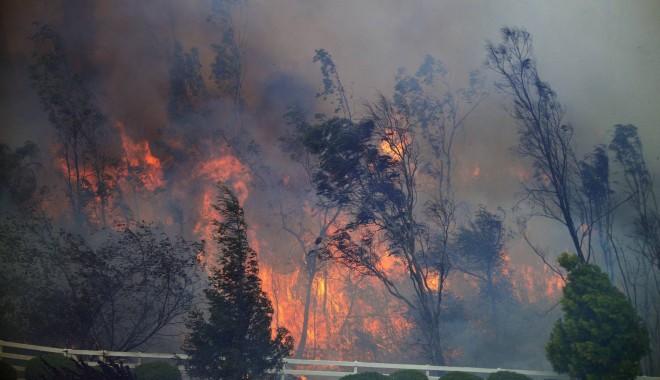 California arde la propriu! Sute de locuințe, evacuate din cauza incendiilor de vegetație - californiaef28a577be-1402907609.jpg