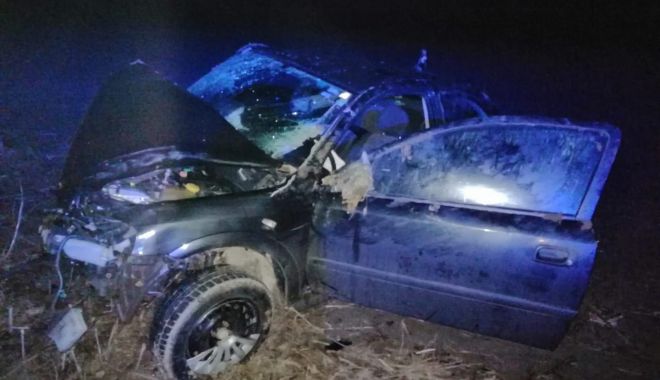 S-a răsturnat cu mașina după ce a lovit un cal - callovit-1548922016.jpg